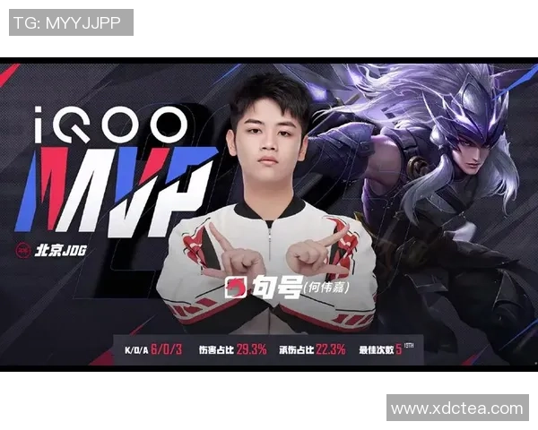 王者荣耀战术解析：深入探讨JDG战队的防守反击策略与执行技巧